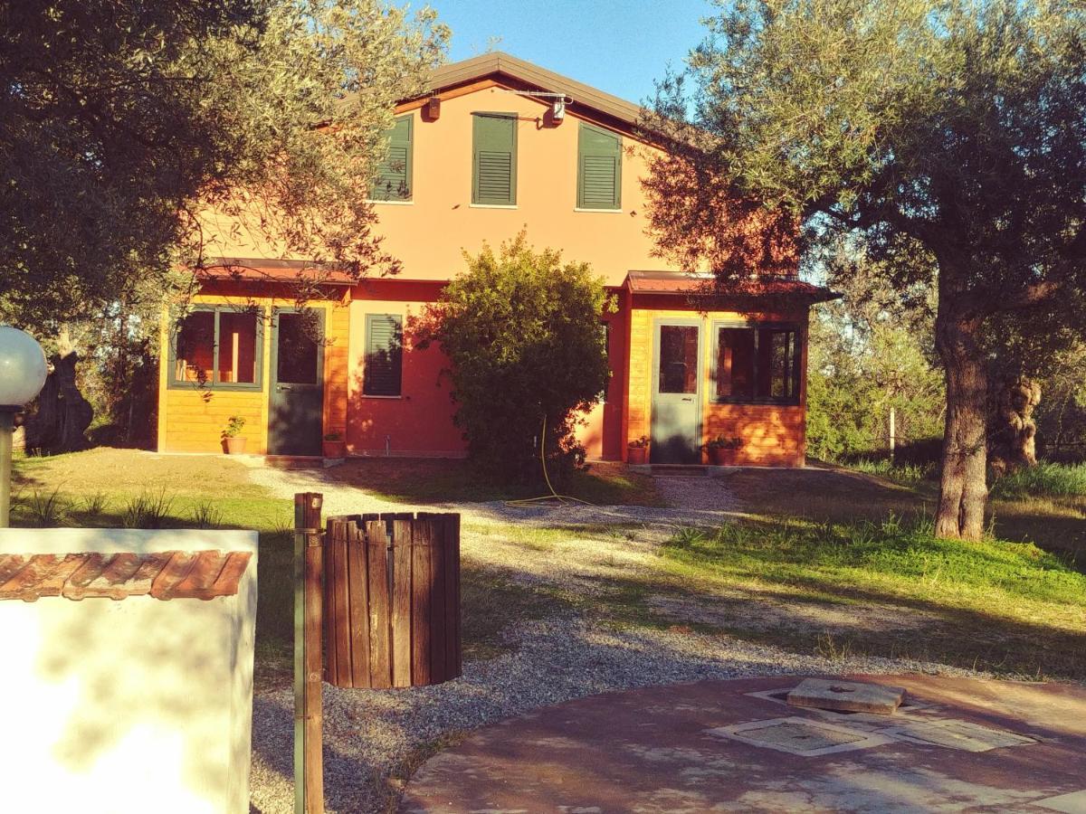 Bed and Breakfast La Piana Degli Ulivi Rossano Exteriér fotografie