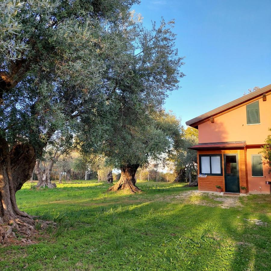 Bed and Breakfast La Piana Degli Ulivi Rossano Exteriér fotografie