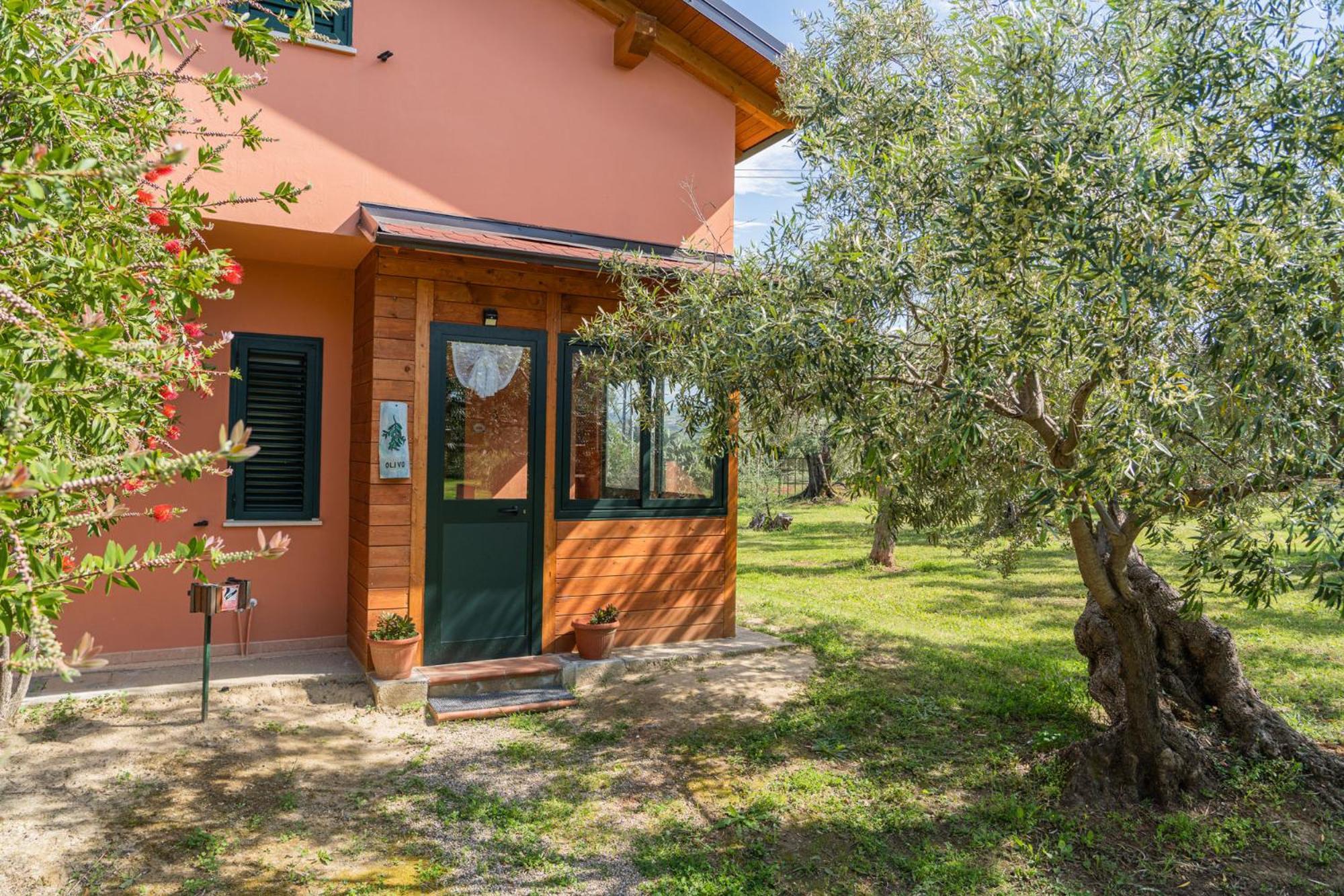 Bed and Breakfast La Piana Degli Ulivi Rossano Exteriér fotografie